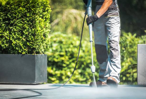 Best Driveway Pressure Washing  in Monroe, WA